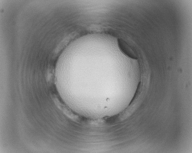 X0000051910576200507152034