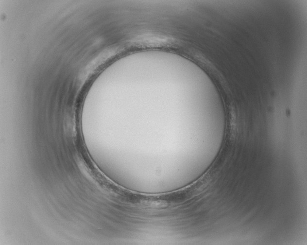 X0000051910582200507152033