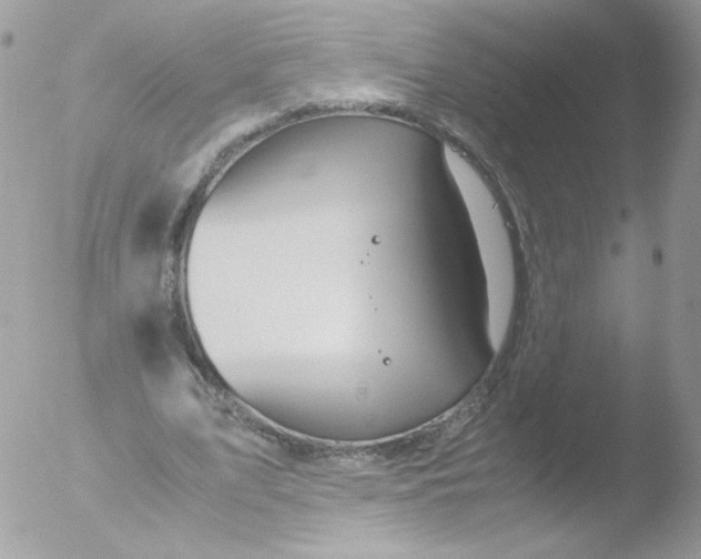 X0000051910583200507152033