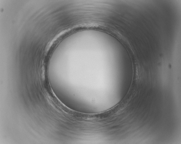 X0000051910584200507152033