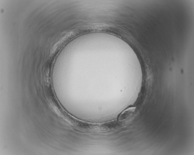 X0000051910585200507152033