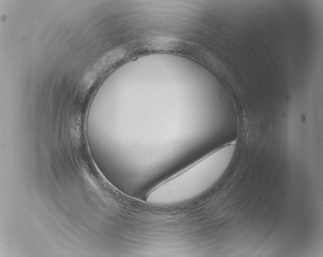 X0000051910586200507152033