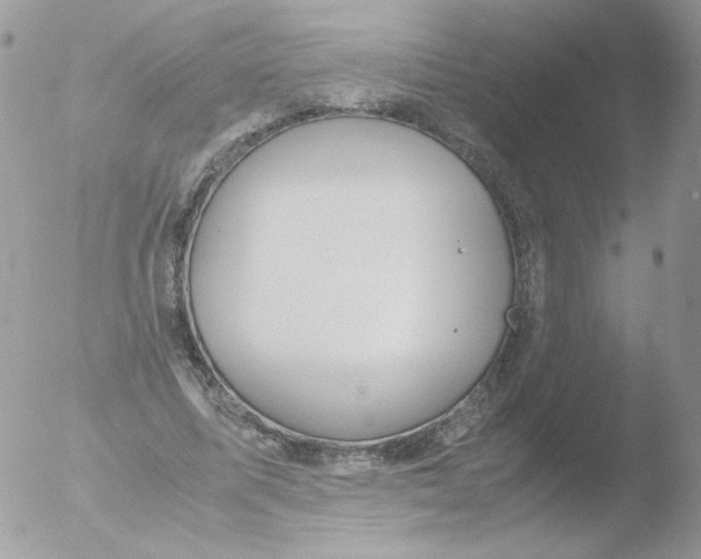 X0000051910587200507152033