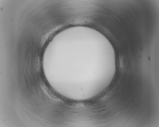 X0000051910588200507152033