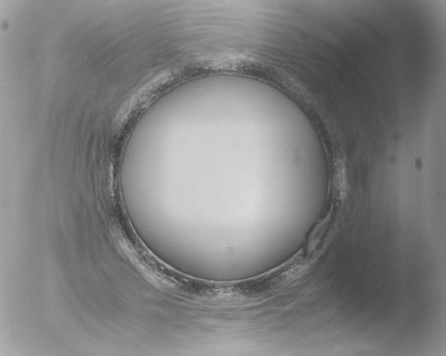 X0000051910589200507152033