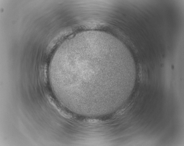 X0000051910590200507152033