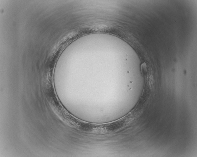 X0000051910591200507152033