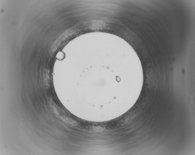 X0000051910592200507152033