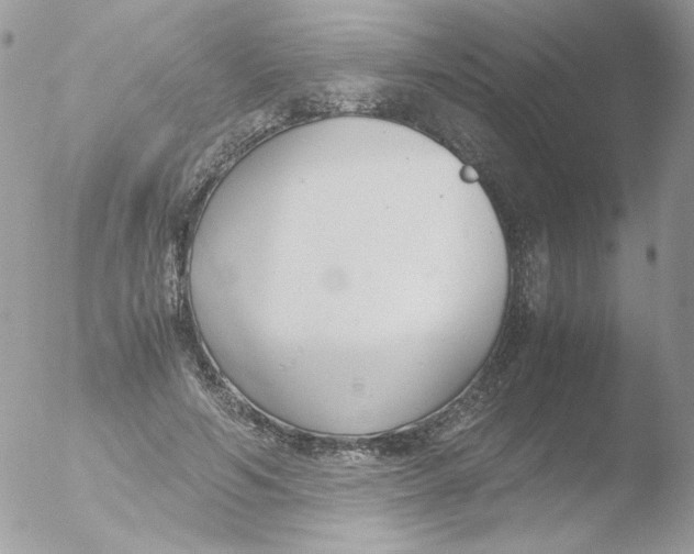 X0000051910594200507152033