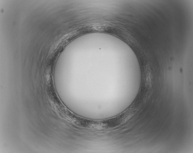 X0000051910595200507152033