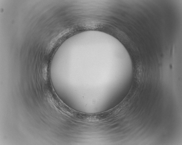 X0000051910596200507152033