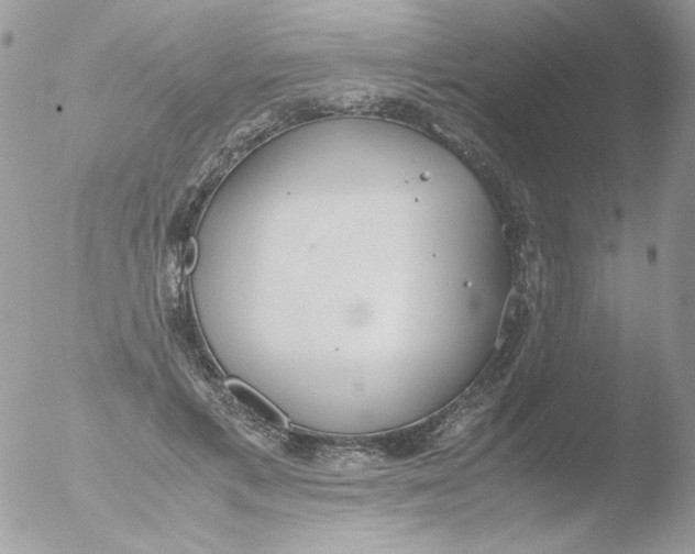 X0000051910597200507152033