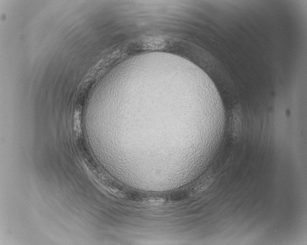 X0000051910598200507152033