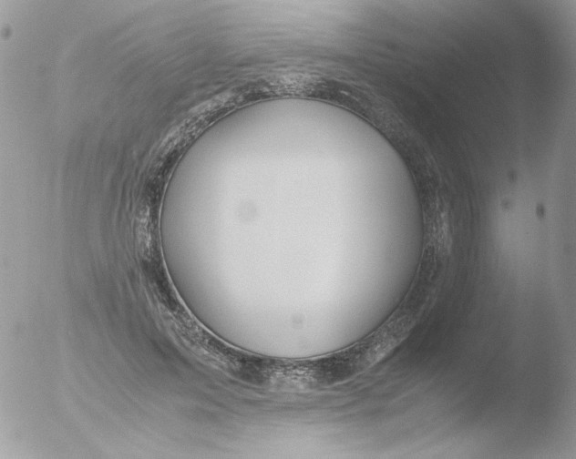 X0000051910599200507152033