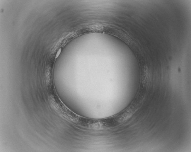 X0000051910600200507152033