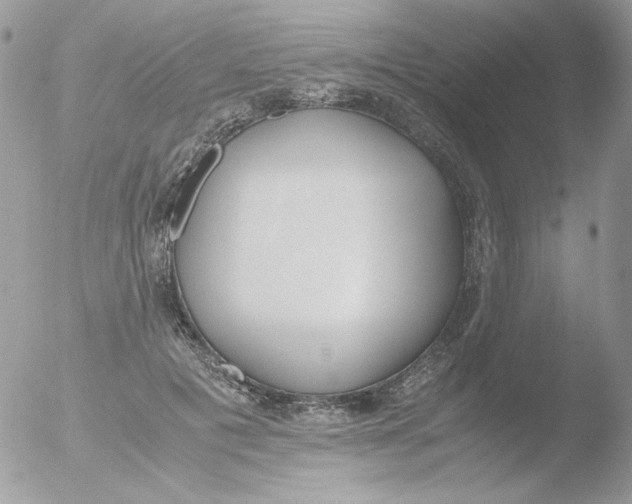 X0000051910601200507152033