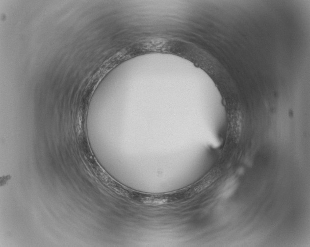 X0000051910602200507152033