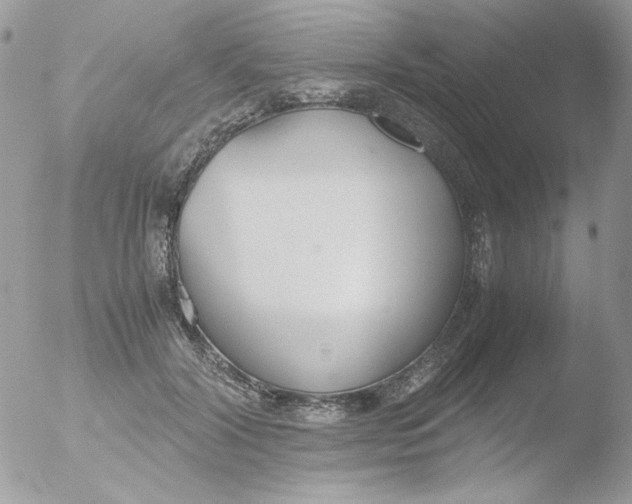 X0000051910604200507152033