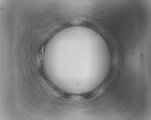 X0000051910605200507152033