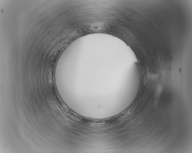 X0000051910606200507152033