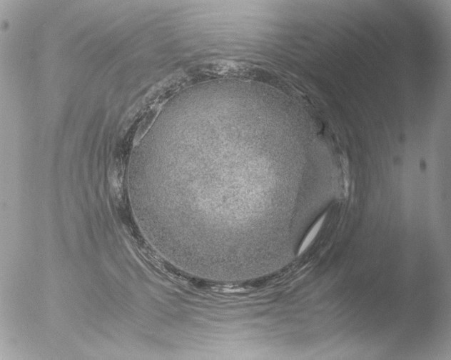 X0000051910607200507152033