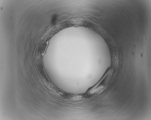 X0000051910609200507152033