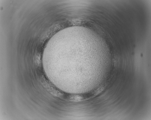 X0000051910610200507152033