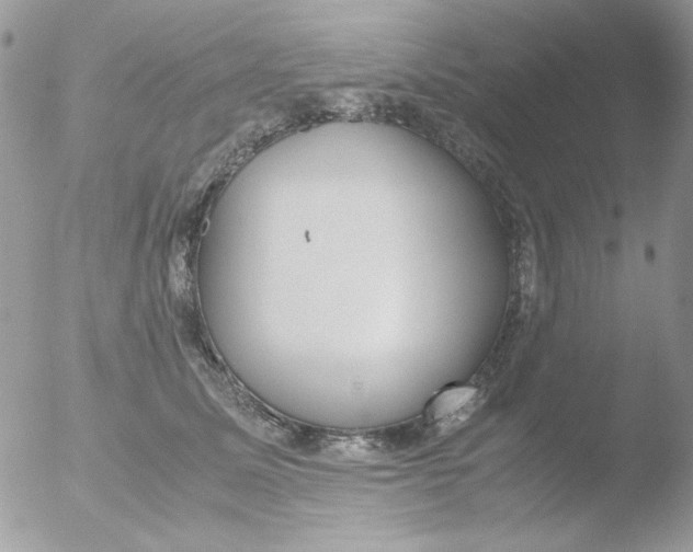 X0000051910611200507152033