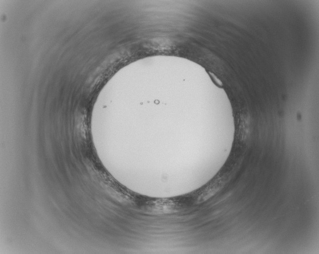 X0000051910612200507152033