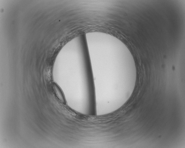 X0000051910613200507152033