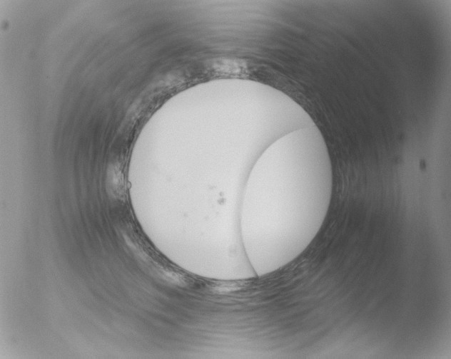 X0000051910614200507152033