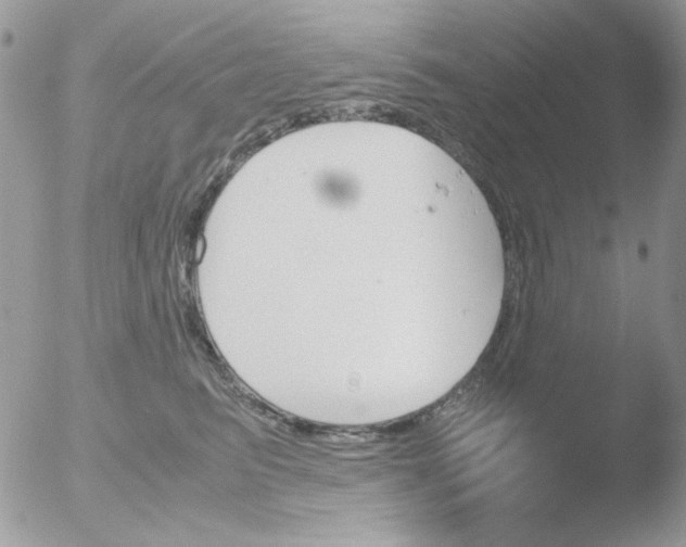 X0000051910615200507152033