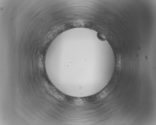 X0000051910616200507152032