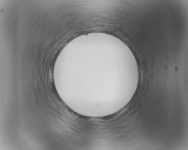 X0000051910617200507152032