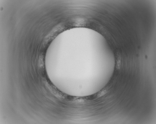 X0000051910620200507152032