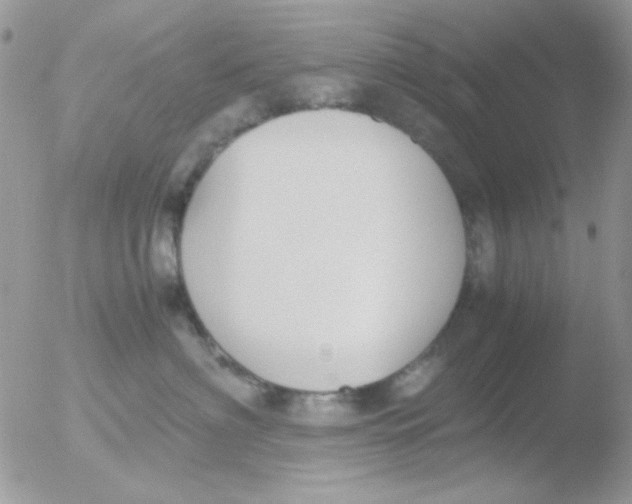 X0000051910622200507152032