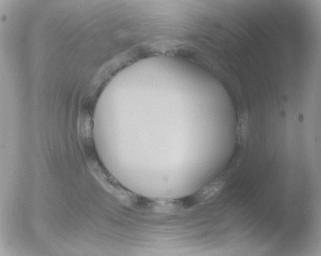 X0000051910623200507152032