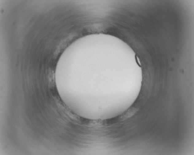 X0000051910624200507152032