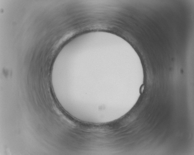 X0000051910625200507152031