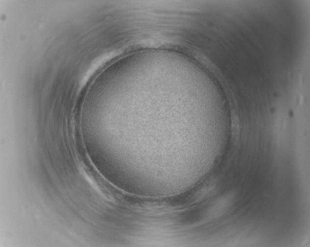 X0000051910626200507152032