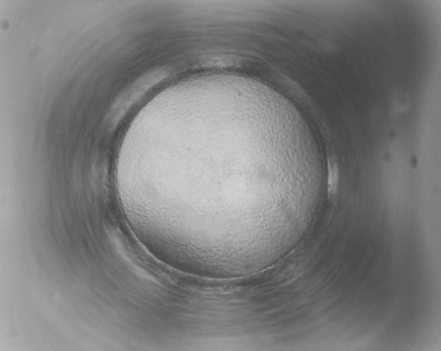 X0000051910627200507152032