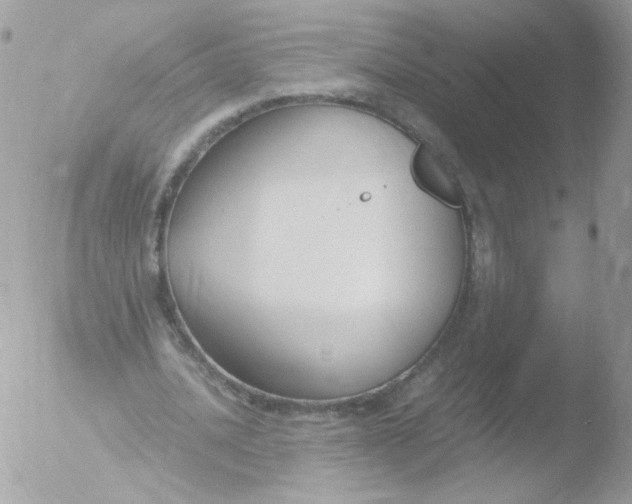 X0000051910628200507152032