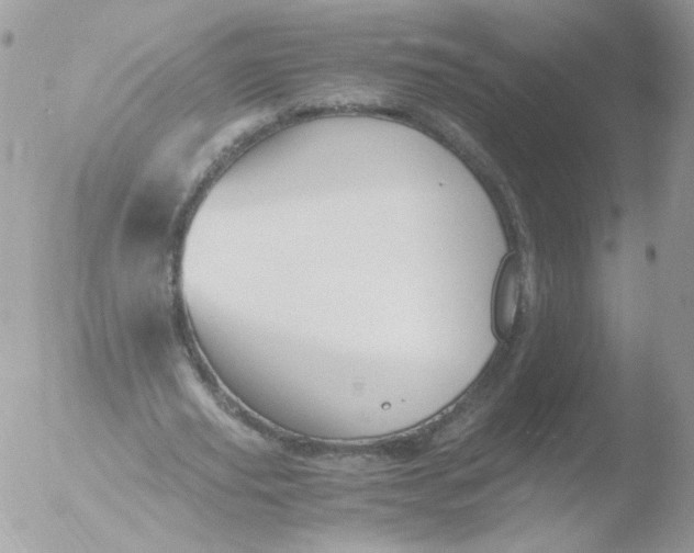 X0000051910629200507152032