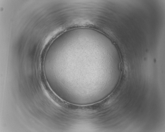 X0000051910630200507152032