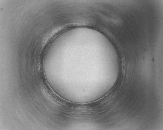 X0000051910631200507152032