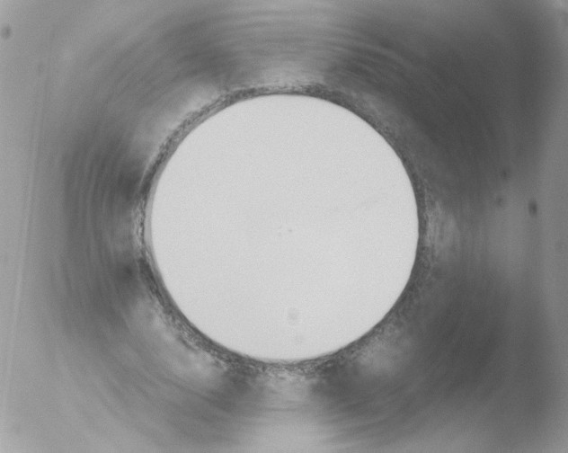 X0000051910632200507152032