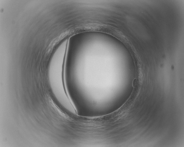 X0000051910633200507152032