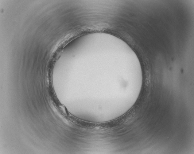 X0000051910634200507152032