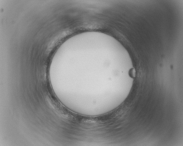 X0000051910635200507152032