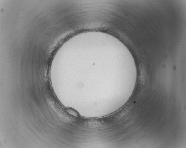 X0000051910636200507152032